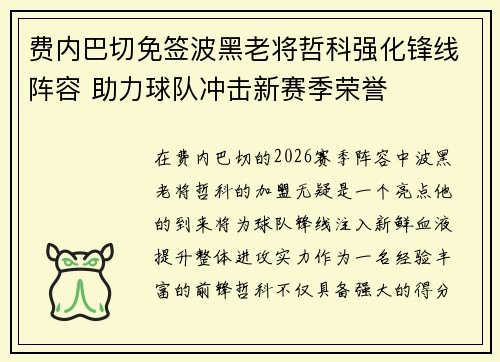 费内巴切免签波黑老将哲科强化锋线阵容 助力球队冲击新赛季荣誉